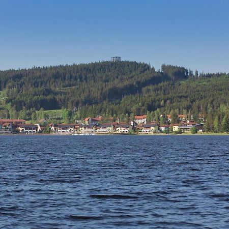 Lipno Lake Apartment リプノ・ナト・ヴルタヴォウ エクステリア 写真